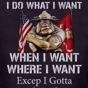 Meet your Posher, Roger